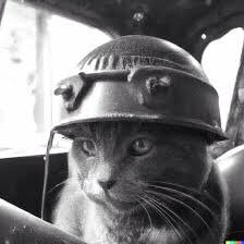 Fiendish has tried cancelling me but failed. The world tried to put the old cat down and failed no one can stop me.