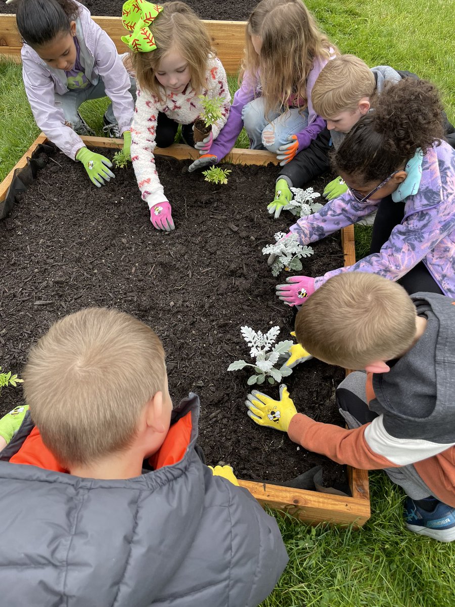 MissFrye14's tweet photo. Today was the day, our first transferring! We moved some of our plants outside. The tomatoes, marigolds, strawberries, lemon balm, and chives. Let’s keep hoping for warmer weather! 🤞🏻☺️ #WErTJ @McClellan_WJHSD https://t.co/YFWaufnWnu