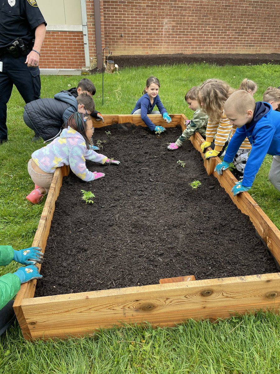 MissFrye14's tweet photo. Today was the day, our first transferring! We moved some of our plants outside. The tomatoes, marigolds, strawberries, lemon balm, and chives. Let’s keep hoping for warmer weather! 🤞🏻☺️ #WErTJ @McClellan_WJHSD https://t.co/YFWaufnWnu