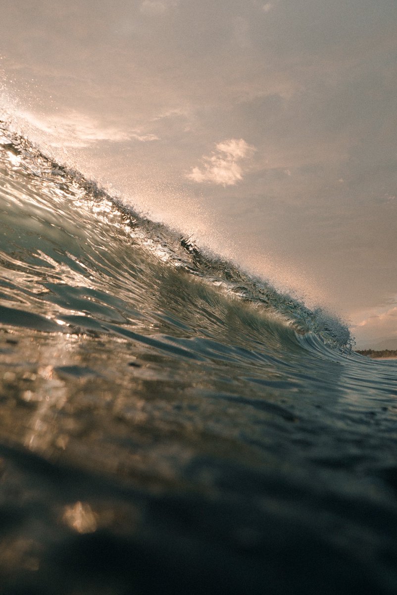 jaime del pizzo tweet media