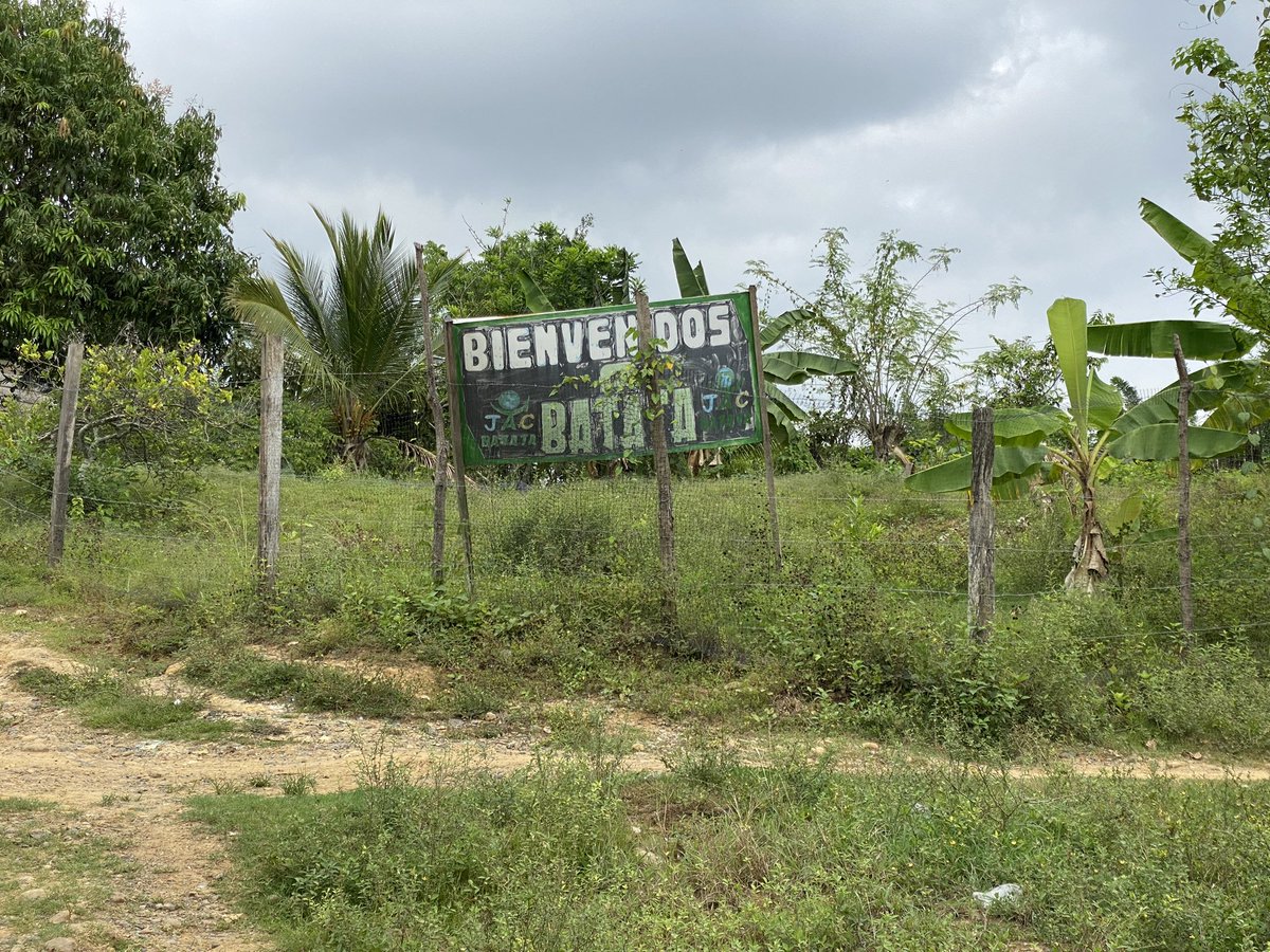 Mathew Charles tweet media