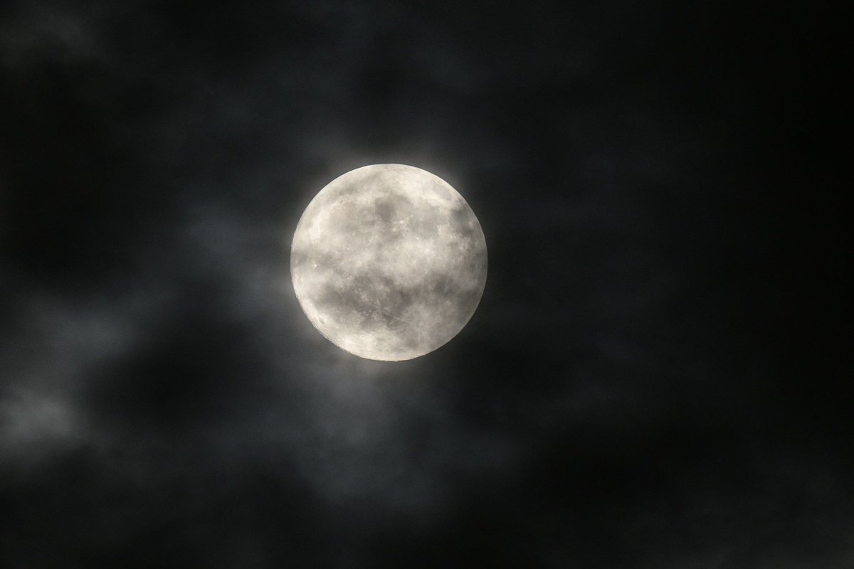 jonesy1007's tweet image. The moon tonight, 99% full bursting through the clouds
#moon @MoonHourSocial #moonhour #cloudymoon #FlowerMoon