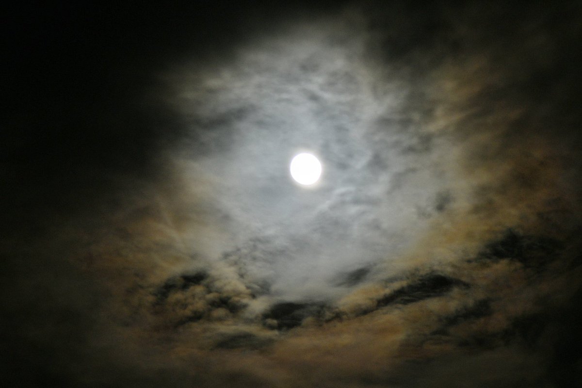 jonesy1007's tweet image. The moon tonight, 99% full bursting through the clouds
#moon @MoonHourSocial #moonhour #cloudymoon #FlowerMoon