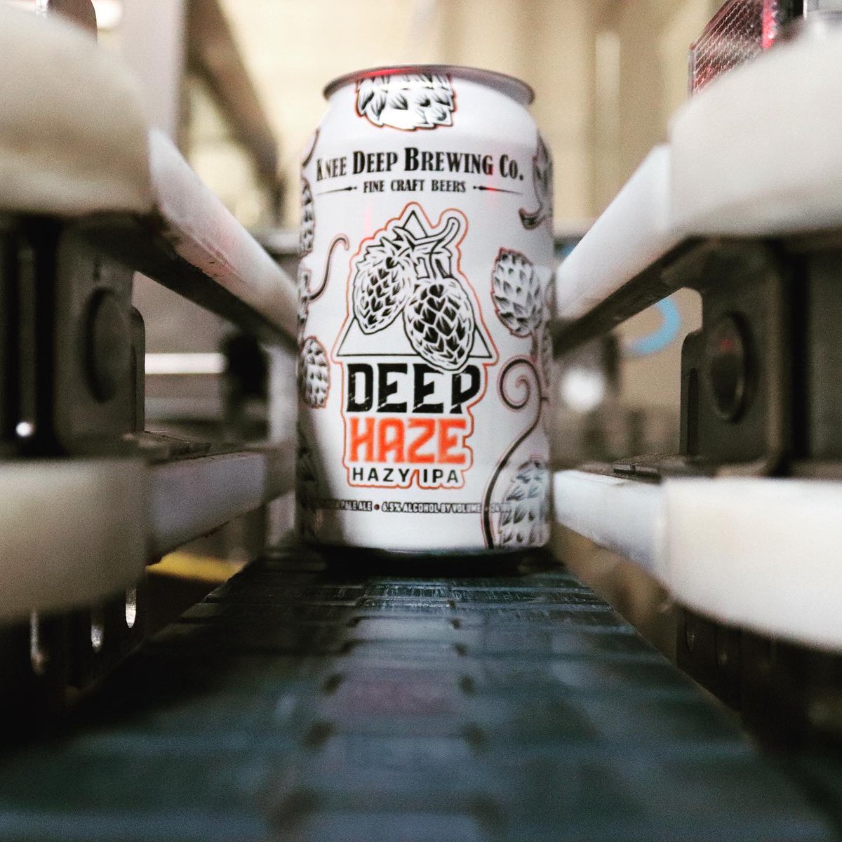 KneeDeepBrewing's tweet photo. Like poetry in motion… #DeepHaze #CanningSeason #TeamHaze https://t.co/Exqhf0Vaum
