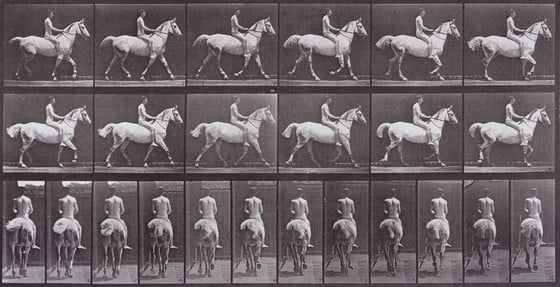 Soheil_SBabaei's tweet photo. of a #gallopinghorse—helped inform future film and animation,as well as other art styles.
#NFT
The project centers on 16 “#Noumenon” #Ethereum #NFTs, each a unique, minute-long animation derived from compiled C code. #Deafbeef described each #monochromatic audiovisual work as https://t.co/Q9ISw6LSKU
