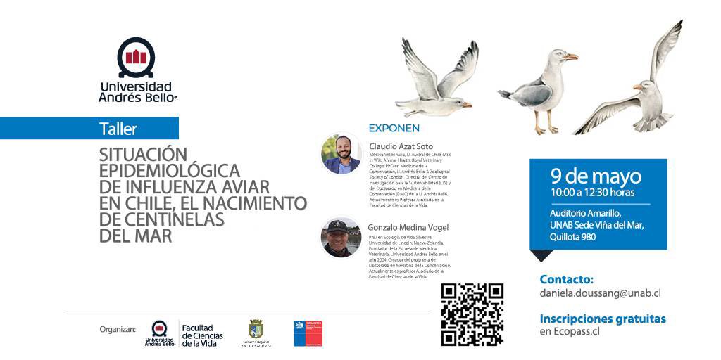 Claudio Azat tweet media