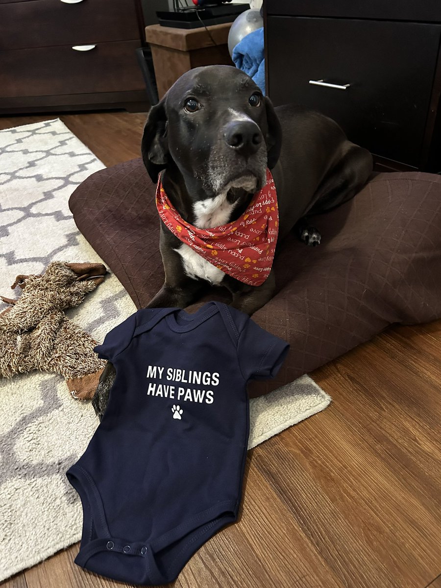 Leah Wallace tweet media