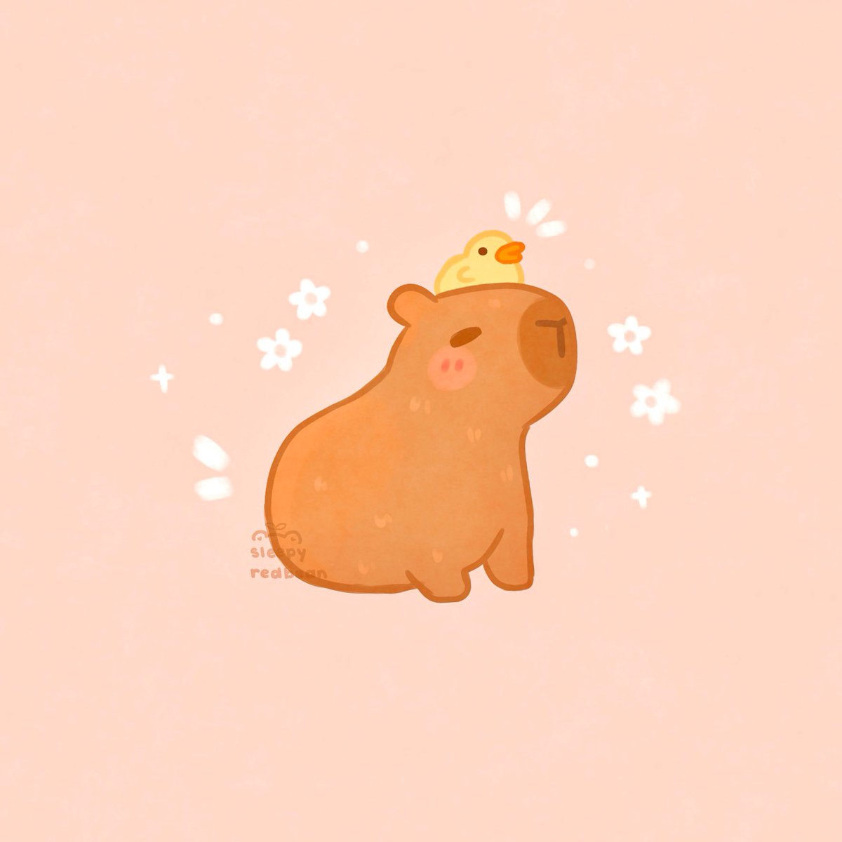 sleepyredbean tweet picture