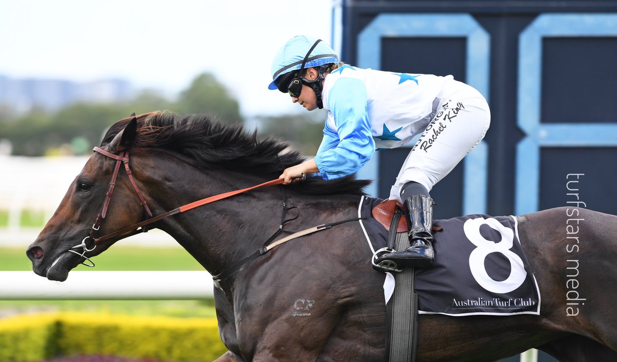 LisaGrimm9's tweet photo. 🤎 Great to see these two outstanding mares break records last night 👊🏼💰

#MONTEFILIA $3.4m (Yulong Investments) and #NIMALEE $3.6m (Coolmore Australia) https://t.co/4moSlWpcWE
