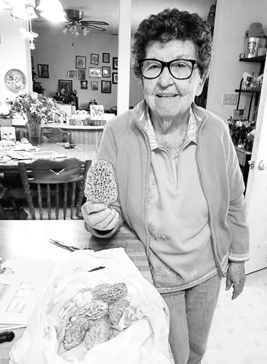 Morel Season is upon us as shown here by Tinie Kisner, our North Salem Correspondent, who received an impressive batch of morels from a kind visitor.