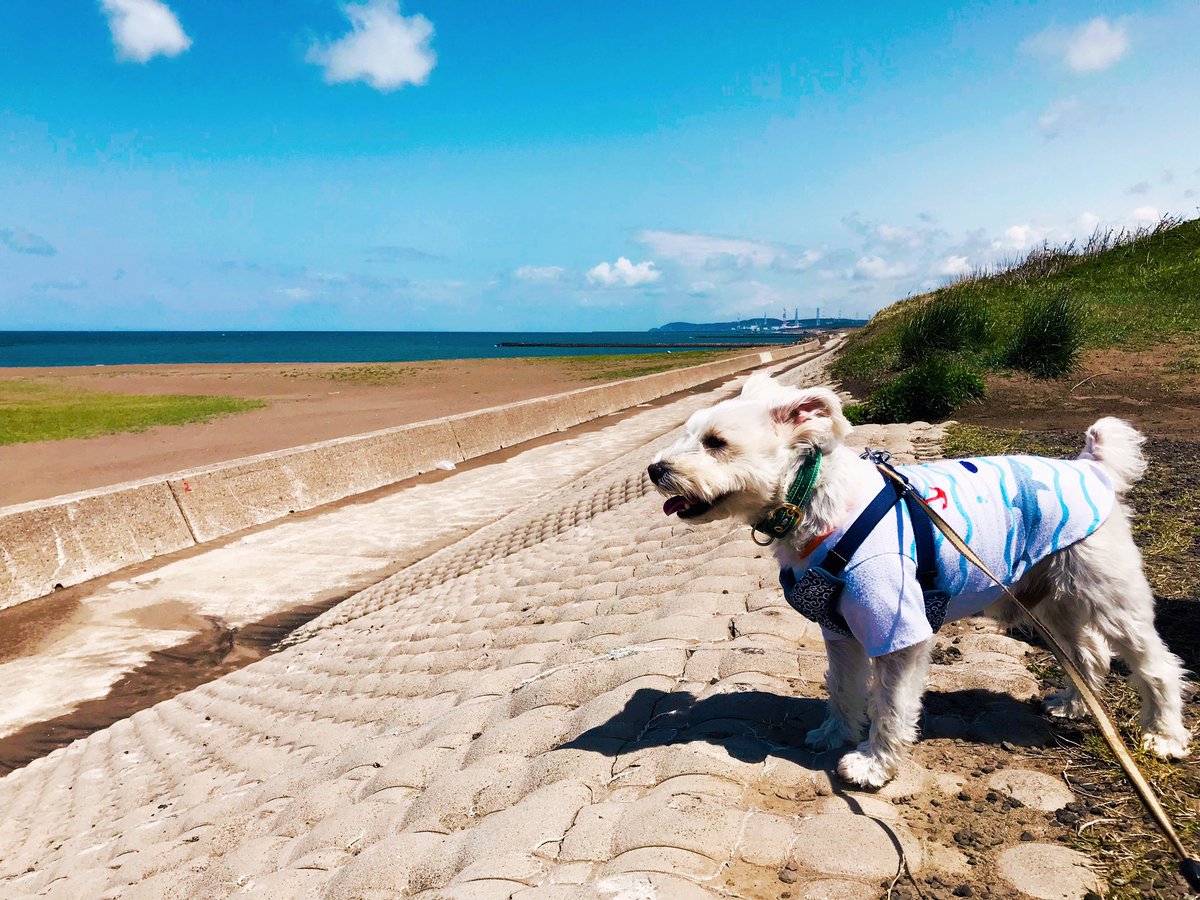 今日は暑い気持ちです 