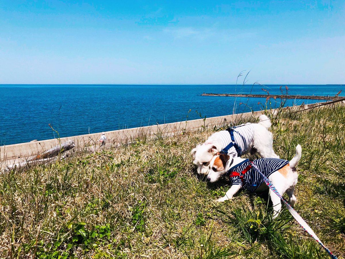 今日は暑い気持ちです 
