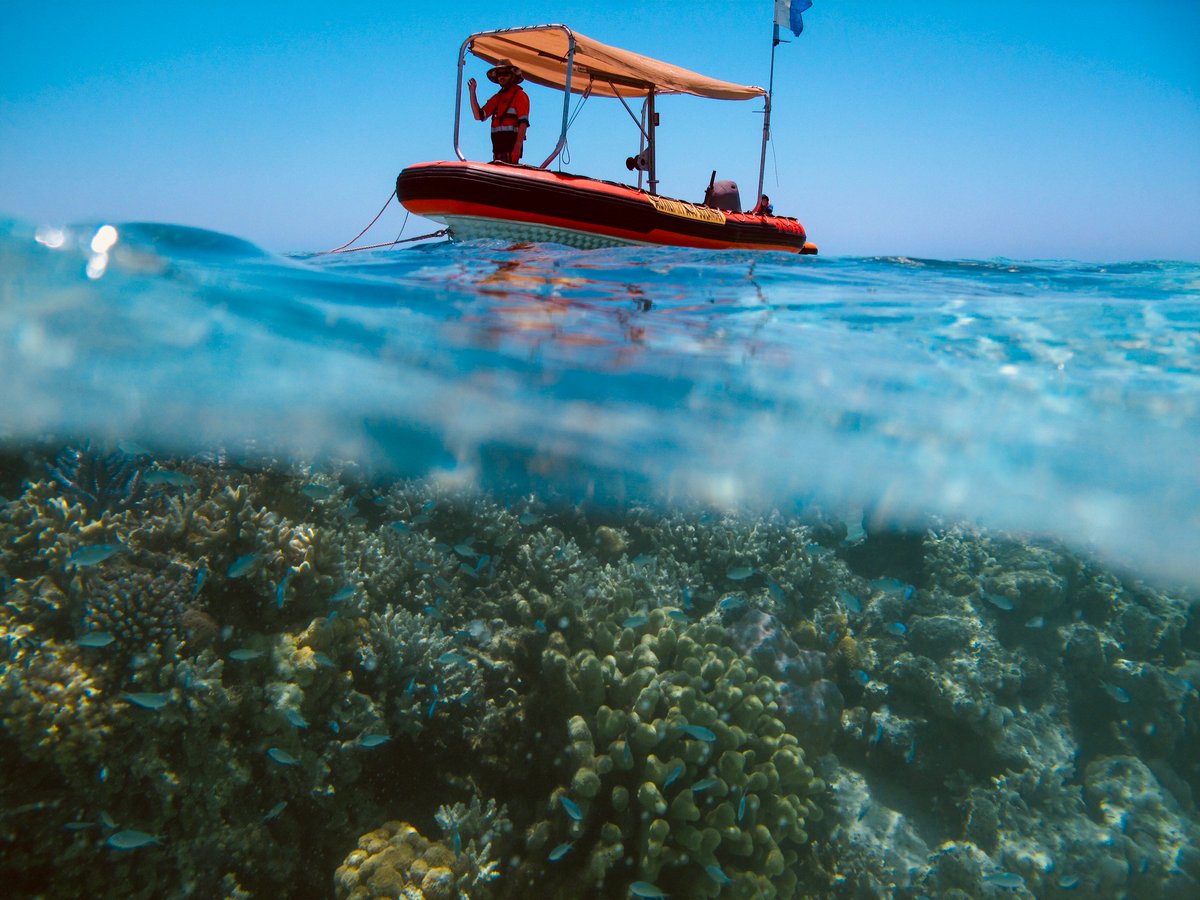 Australian Institute of Marine Science tweet media