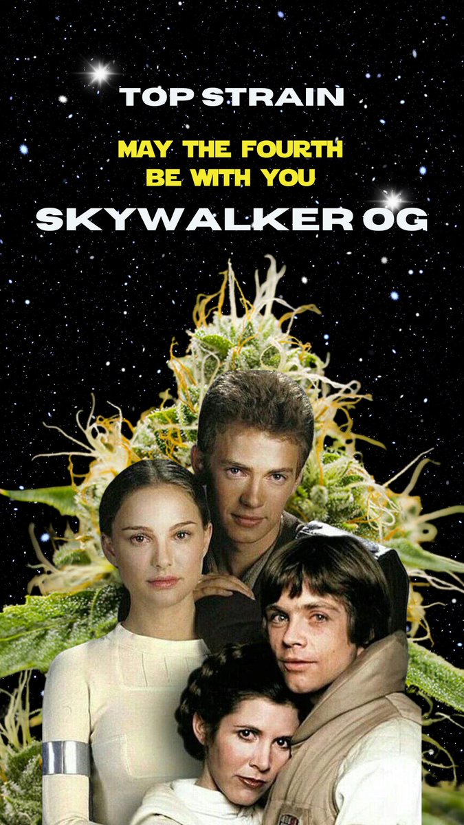 One of our most popular strains this year 

#SkywalkerOG #Maythe4bewithyou  #cannabiscommunity