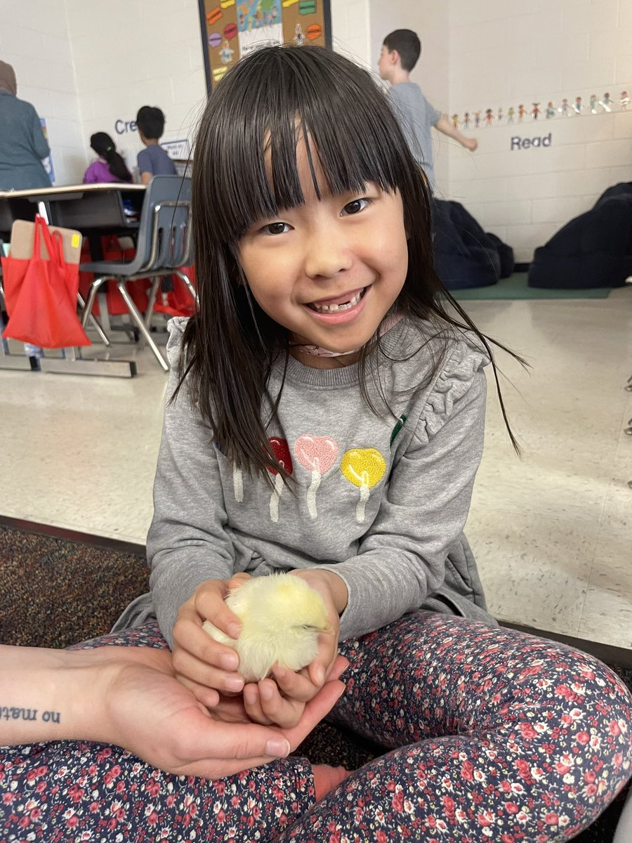 Ms. Walsh tweet media