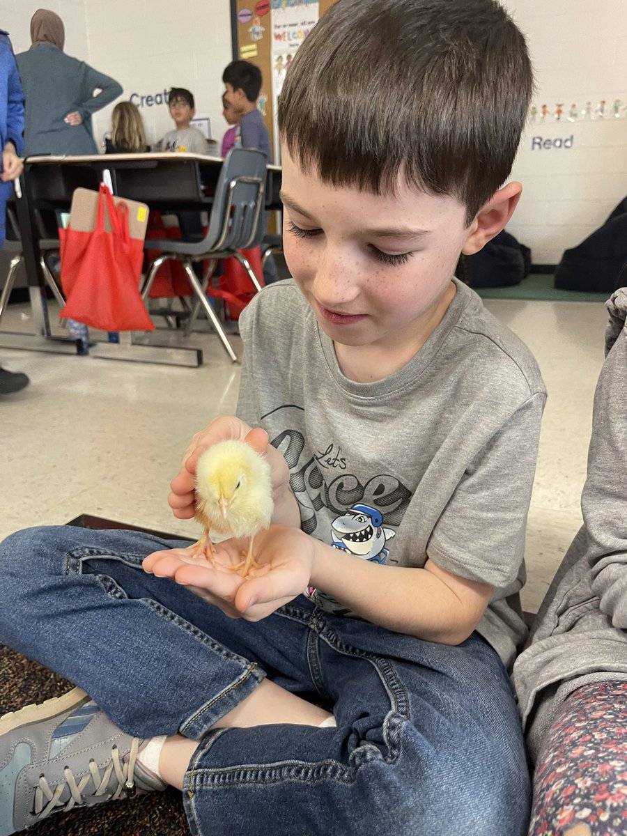 Ms. Walsh tweet media