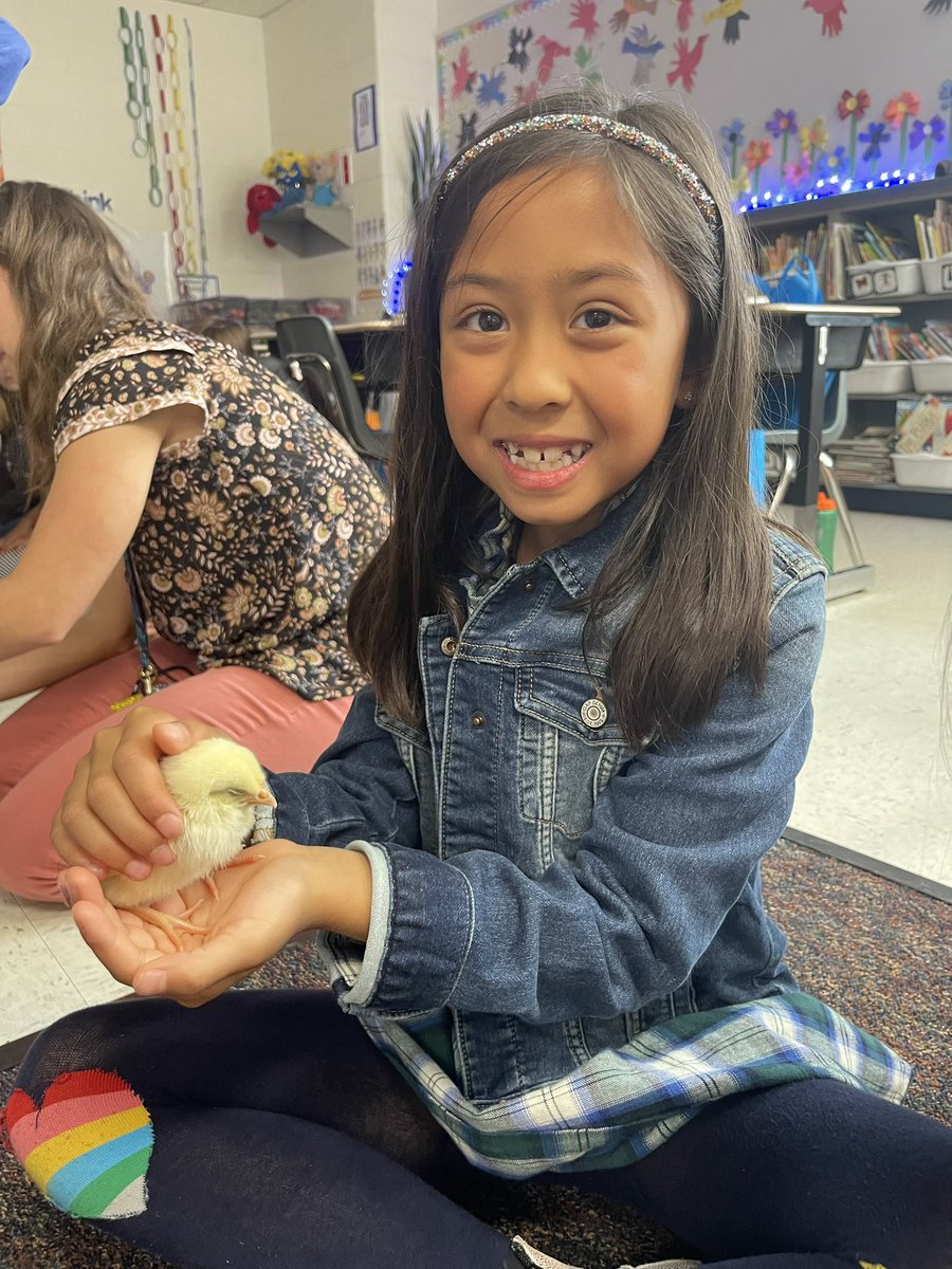 Ms. Walsh tweet media