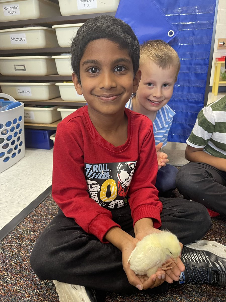 Ms. Walsh tweet media