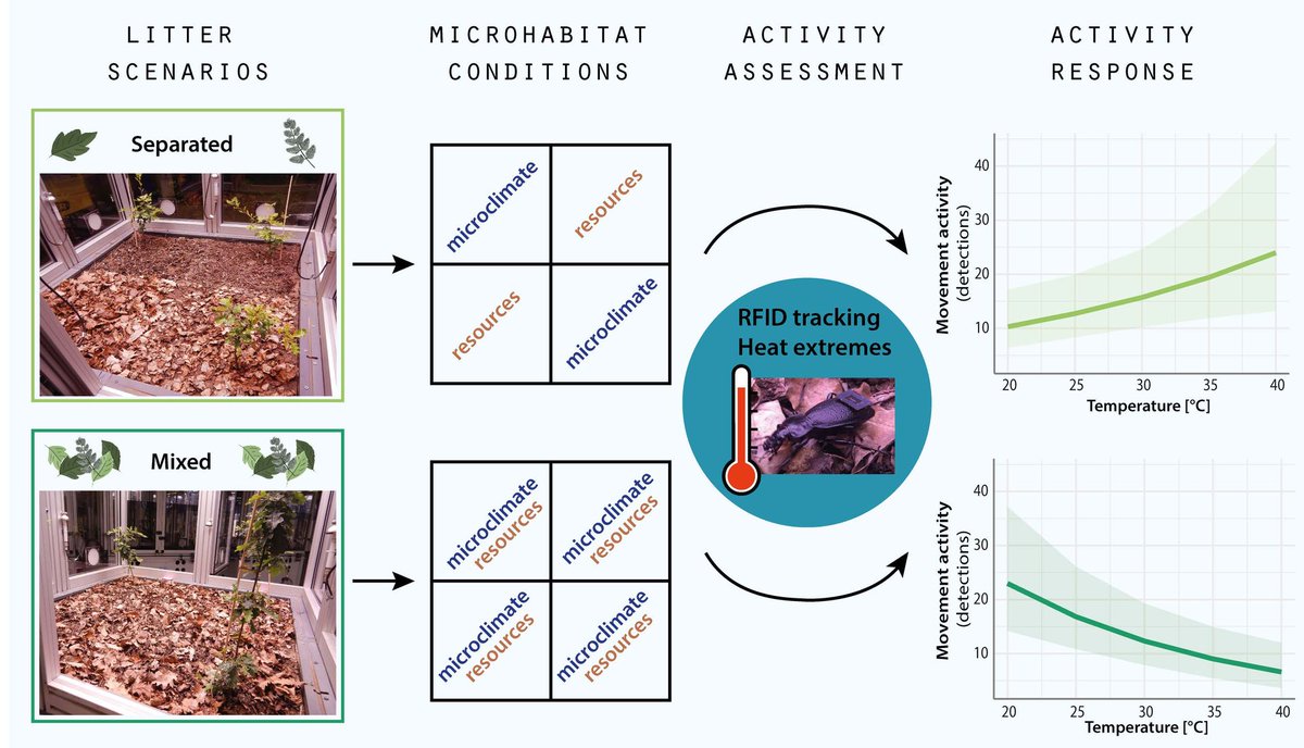 || NEW RESEARCH ||
Microhabitat conditions remedy heat stress effects on insect activity

📄 bit.ly/3LceRE3