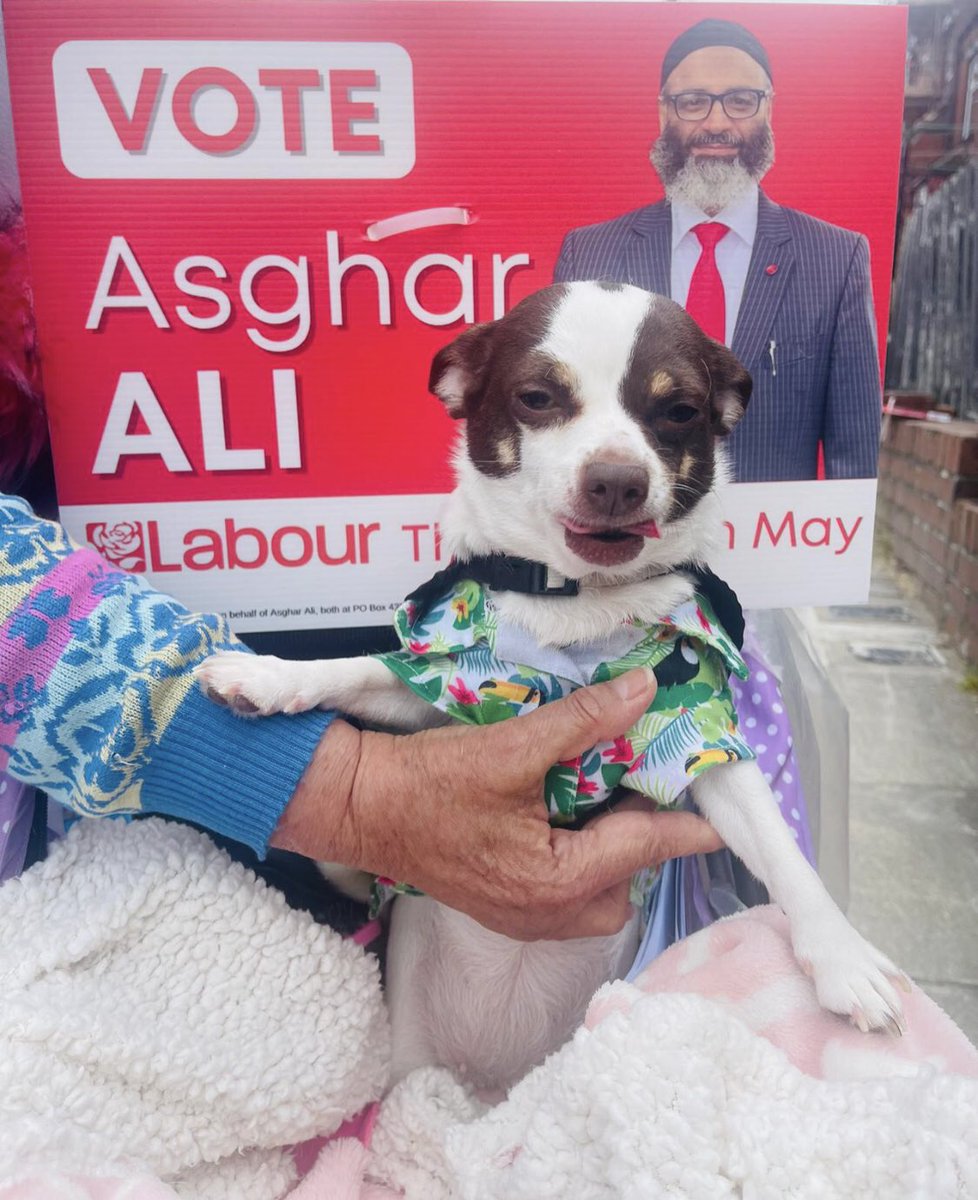 AsgharLeeds's tweet photo. Team Gipton & Harehills would like to thank a Million to all for your help… we have shown voters that Labour can give Britain its future back… I’m proud of what we’ve achieved & there’s still so much more to come… #Asghar Ali https://t.co/Axznda7Jt2