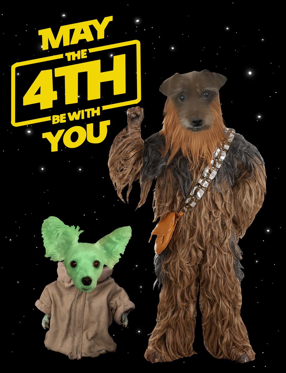 ginnymo06's tweet photo. #May4thBeWithYou #May4th #dogsftwitter https://t.co/E1TKMMaVpO