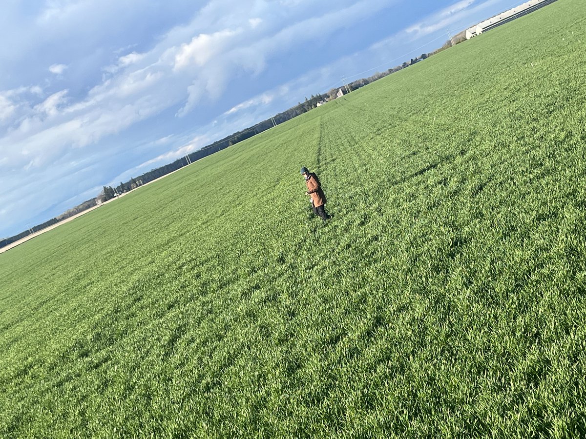 Remco Brinke tweet media