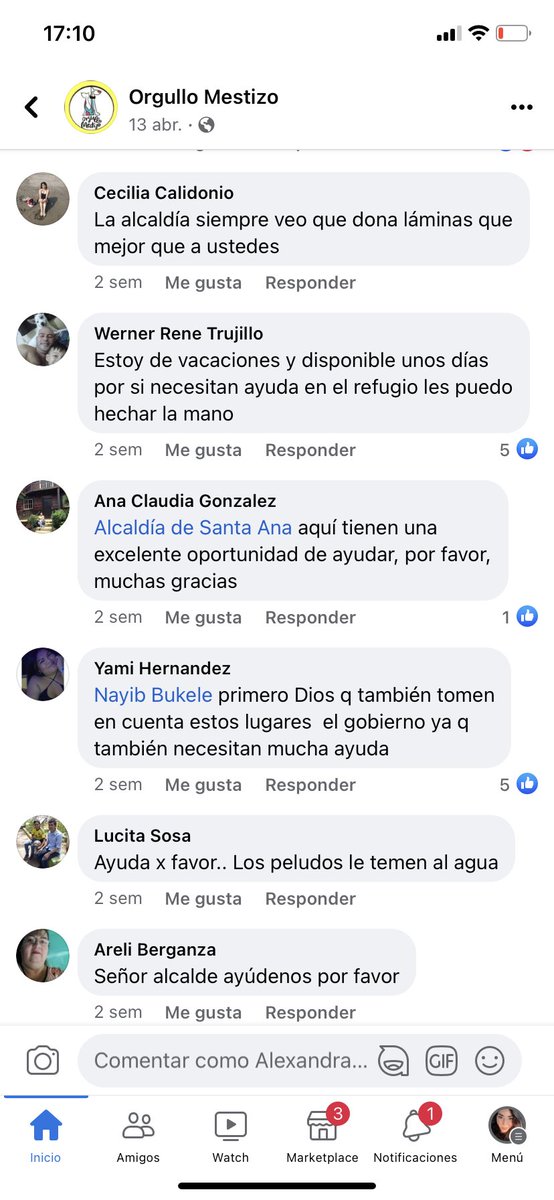 alebruns's tweet photo. @AcevedoGustavo_ Buenas tardes señor alcalde , el Refugio de perritos de santa Ana Orgullo Mestizo , ha solicitado ayuda , ya q los perritos que se rescatan se están mojando , el techo del Refugio se ha caído , han solicitado ayuda a la alcaldía pero nadie responde los han etiquetado muchas vecs https://t.co/Yn0nFHSIhN