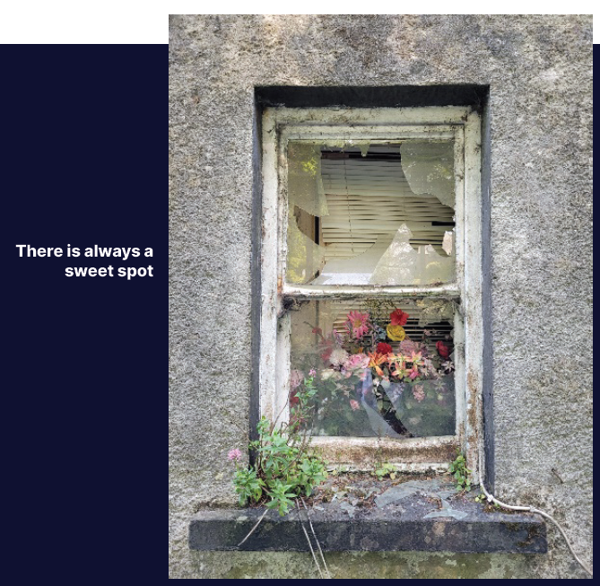 Prof Ita Richardson tweet media