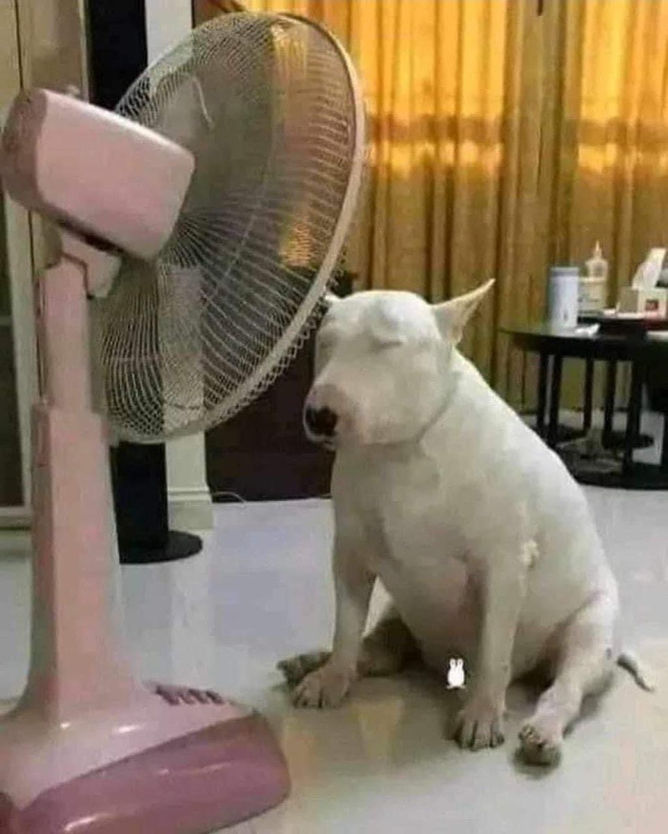 Hijueputa calor