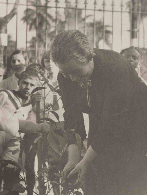 maestranobel's tweet image. Donde haya un árbol que plantar, plántalo tú. Donde haya un error que enmendar, enmiéndalo tú. Donde haya un esfuerzo que todos esquivan, hazlo tú. 
Sé tú el que aparta la piedra del camino.

El Placer de Servir