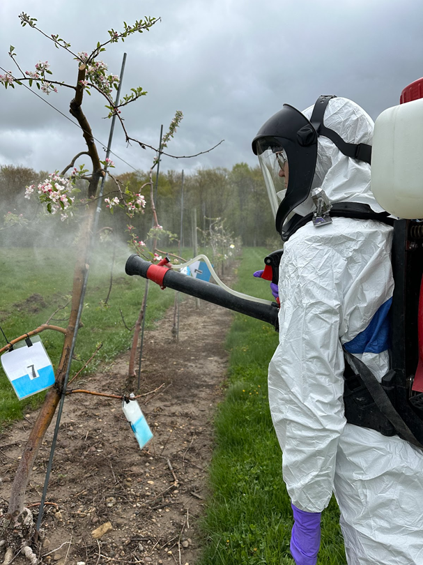 Cornell AgriTech tweet media