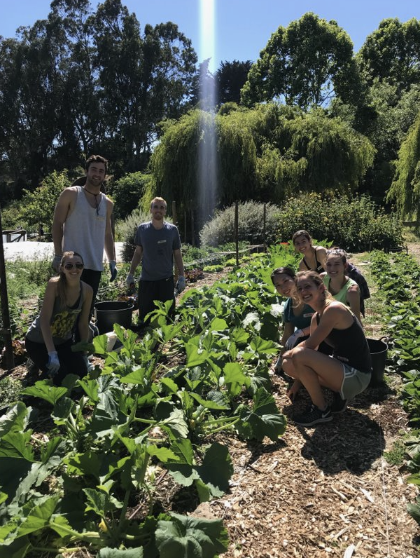 SustainUCSF's tweet photo. UCSF Sustainability Awards #UCSFproud of you @HampshireKarly #UCSFGreenEvents https://t.co/DcyBI6c6dZ