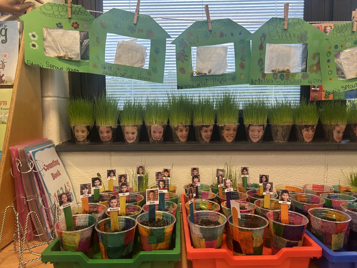 BurnetHillElem's tweet photo. Things are growing in K-M! Students are learning how to grow and care for plants in their Science unit. https://t.co/ka2O5WZqta
