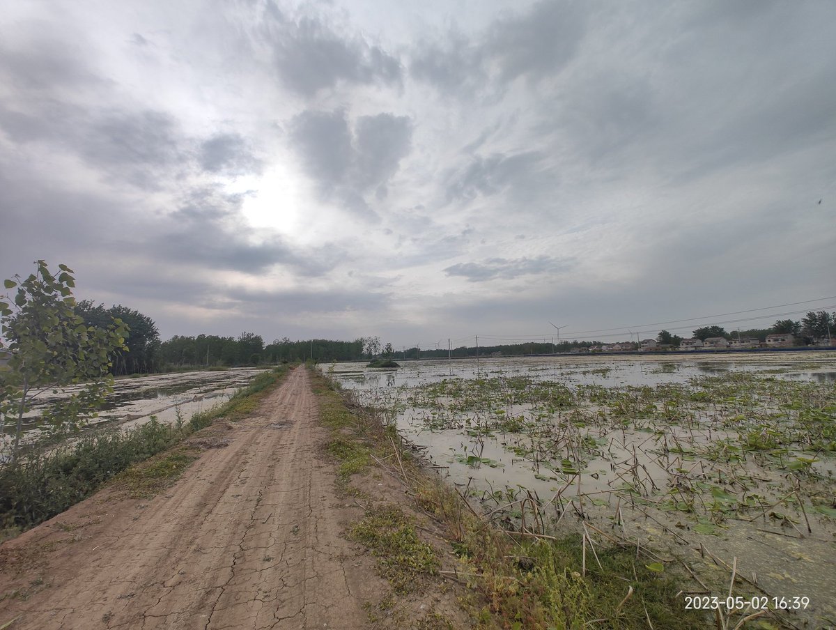 有了解中医的朋友吗，最近突然想了解了解中医概况，以前我是完全不看中医的，但多了解总是无误的。