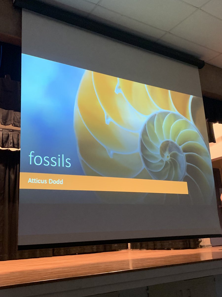 Tiffany Truman tweet media