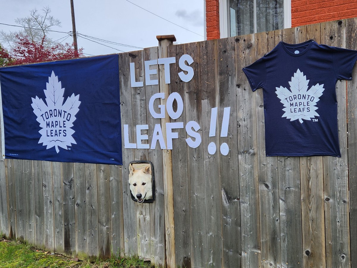 radiomike519's tweet photo. Looks like the famous #GermanSheppard on Norfolk Street near Morris Drive in #Windsor is ready for a #LeafsNation win! https://t.co/lOauzTVMYw