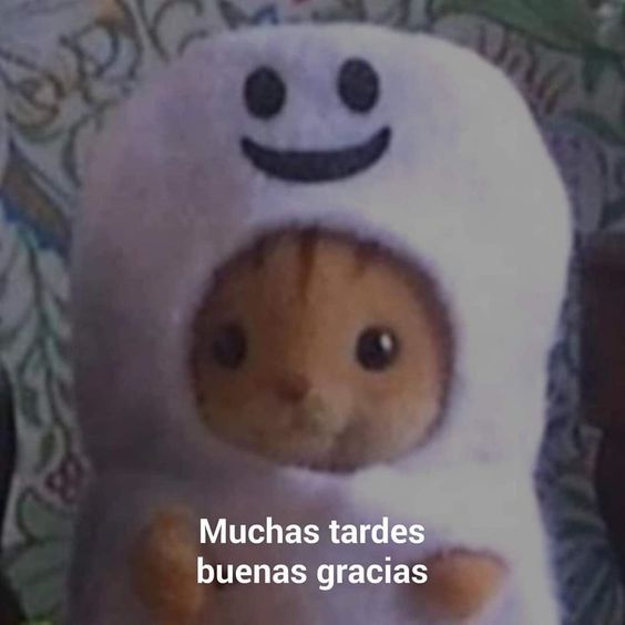 DONDEIRweb's tweet photo. Cuando eres una persona penosa y te ganan los nervios al hablar en público: https://t.co/e0EWeOAgkf