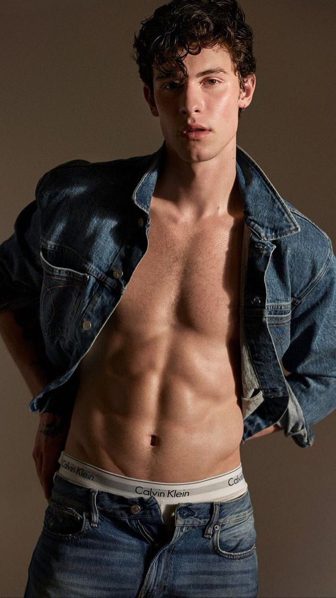 shawposts's tweet image. shawn mendes.