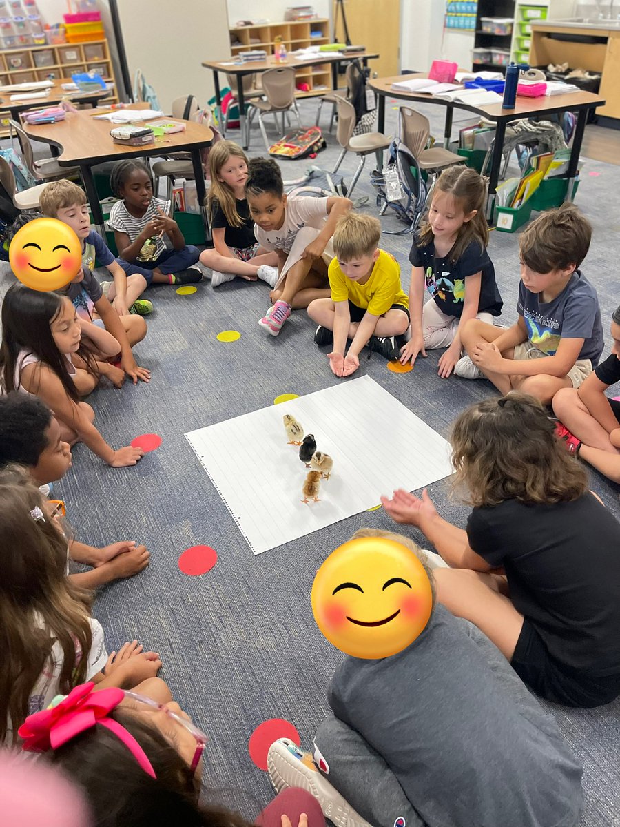 Our baby chicks are here 🐣#bengalpride <a href="/BryantElem/">Bryant Elementary</a>