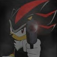 #1 Shadow The Hedgehog Fan tweet media