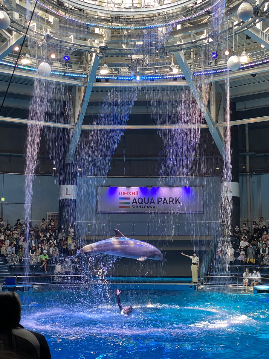 hoiku__yy's tweet photo. 1日目、室内遊具施設&amp;公園
2日目、水族館&amp;公園
3日目の今日は、広めの公園へ。
お家の人と過ごす時間も大切ですが、少しでも気持ちを発散し、楽しい時間になるよう、今日もお子様に寄り添ってシッティングしてきます♪♪♪ https://t.co/kNfZ1J8x0g