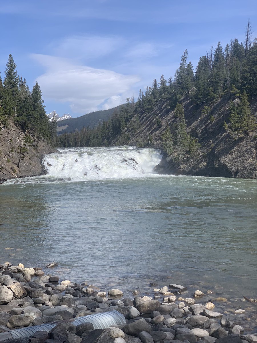 Prairies 2 Mountains tweet media