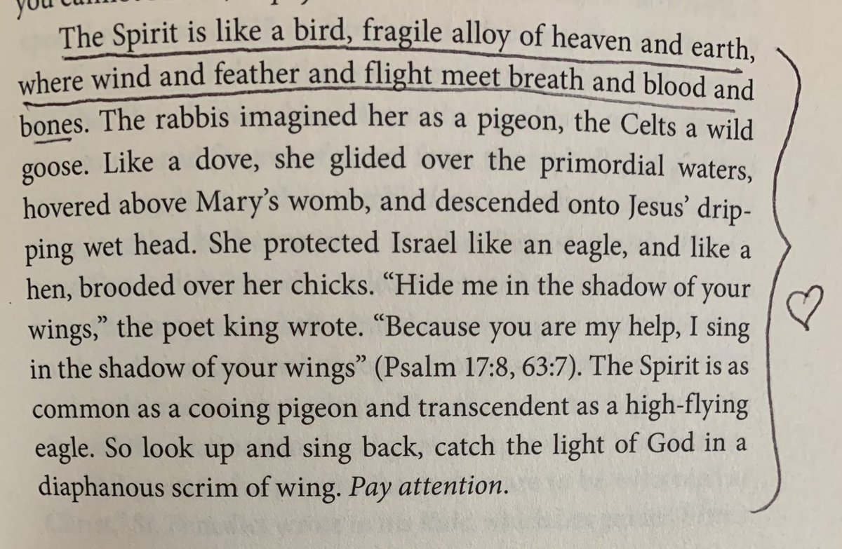 JeanBergen2's tweet photo. Love these words. I’m paying attention @rachelheldevans Thank you for using your voice and gifts. #RememberingRHE #SearchingforSunday https://t.co/1OMAgaSYd3