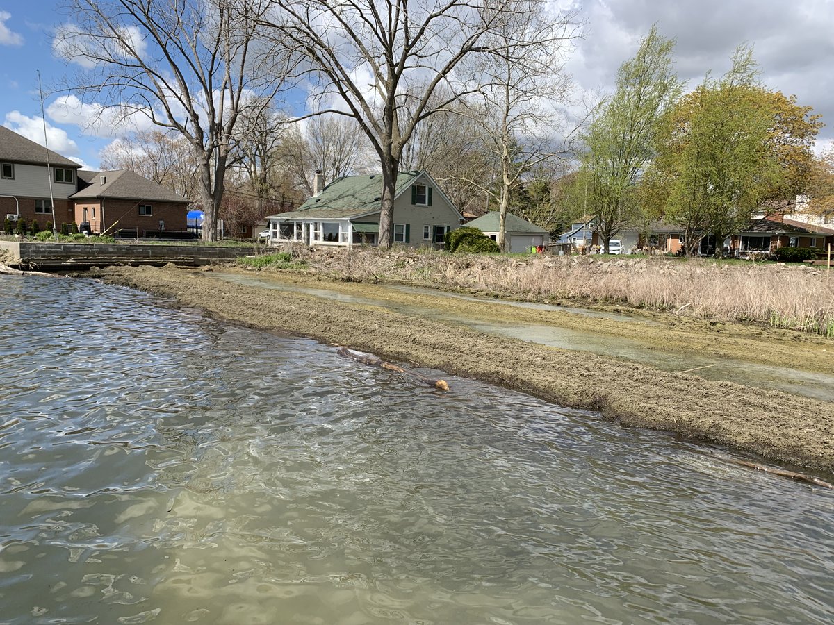 MillerMCPW's tweet image. Research biologists from Army Corps of Engineers are collecting data of the muck (aka #Lyngbya) along pockets of the #LakeStClair shore in #Macomb County – start of a 2-year study. Want to ID hot spots, develop plan to manage or eliminate this #invasivespecies of #algae.