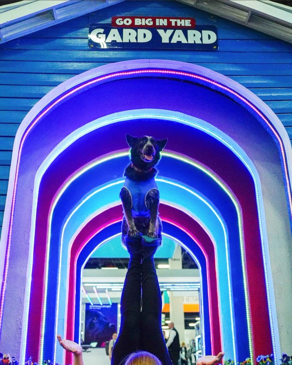 ViticusGroup_AH's tweet image. #tbt: Beegee flyin&apos; high at Gard Yard during #wvc2023! 🌈 ❤️