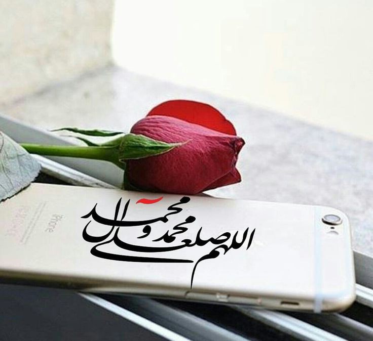 ShabnamGill92's tweet photo. ✾میرے آقاﷺ
ﻣﯿﺮﯼ ﺧﺎﮎ ﺑﮭﯽ ﺍﮌﮮ ﮔﯽ
 ﺑﺎ ﺍﺩﺏ ﺗﯿﺮﯼ ﮔﻠﯽ ﻣﯿﮟ
ﺗﯿﺮﮮ ﺁﺳﺘﺎﮞ ﺳﮯ ﺍﻭﻧﭽﺎ
ﻧﮧ ﻣﯿﺮﺍ ﻏﺒﺎﺭ ﮬﻮ ﮔﺎ♡✾

⚘وَرَفَعْنَا لَكَ ذِكْرَكَ ○ 
میرے نبیﷺکاذکر
ہمیشہ بلندرہےگا⚘
🦋 
 🥀 https://t.co/mum1D352w5