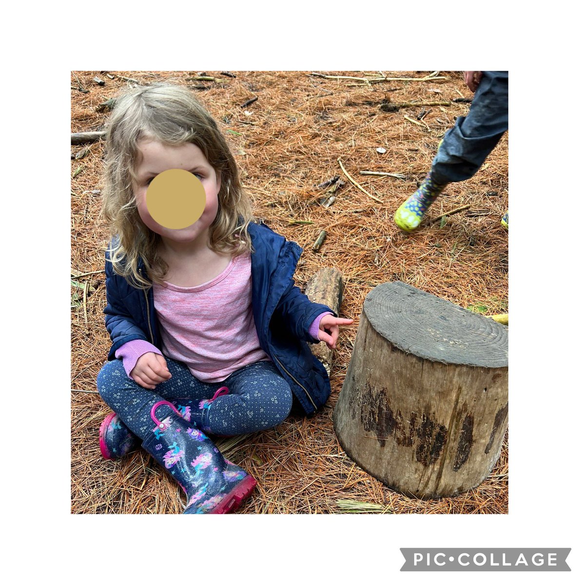 Student L in KMB <a href="/StirlingPS/">Stirling PS</a> told us that she could tell how old a tree was by counting the rings .  She then proceeded to count 37 rings on this tree stump ! Well done 🙂 #kindergartenlearning #outdoorlearning #learningforest #treeknowledge