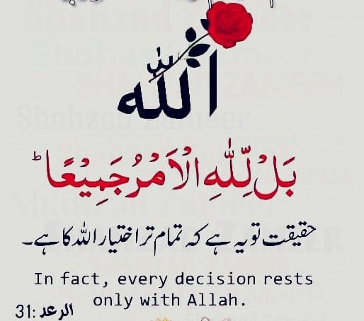 بسم اللہ الرحمن الرحیم
 
السلامُ علیکم ورحمۃ اللہ💕

اِس بات پر پریشان مَت ہو کہ 'راستہ' کہاں لے کر جائے گا، بلکہ اپنی توجہ اپنے پہلے قدم پر رکھو۔ یہی تمہاری ذمہ داری ہے پہلا قدم اُٹھانے کے بعد ہر شے کو اپنے قدرتی انداز میں کام کرنے دو ۔۔۔ دیکھنا راستہ خود بخود کھلتا جائے گا