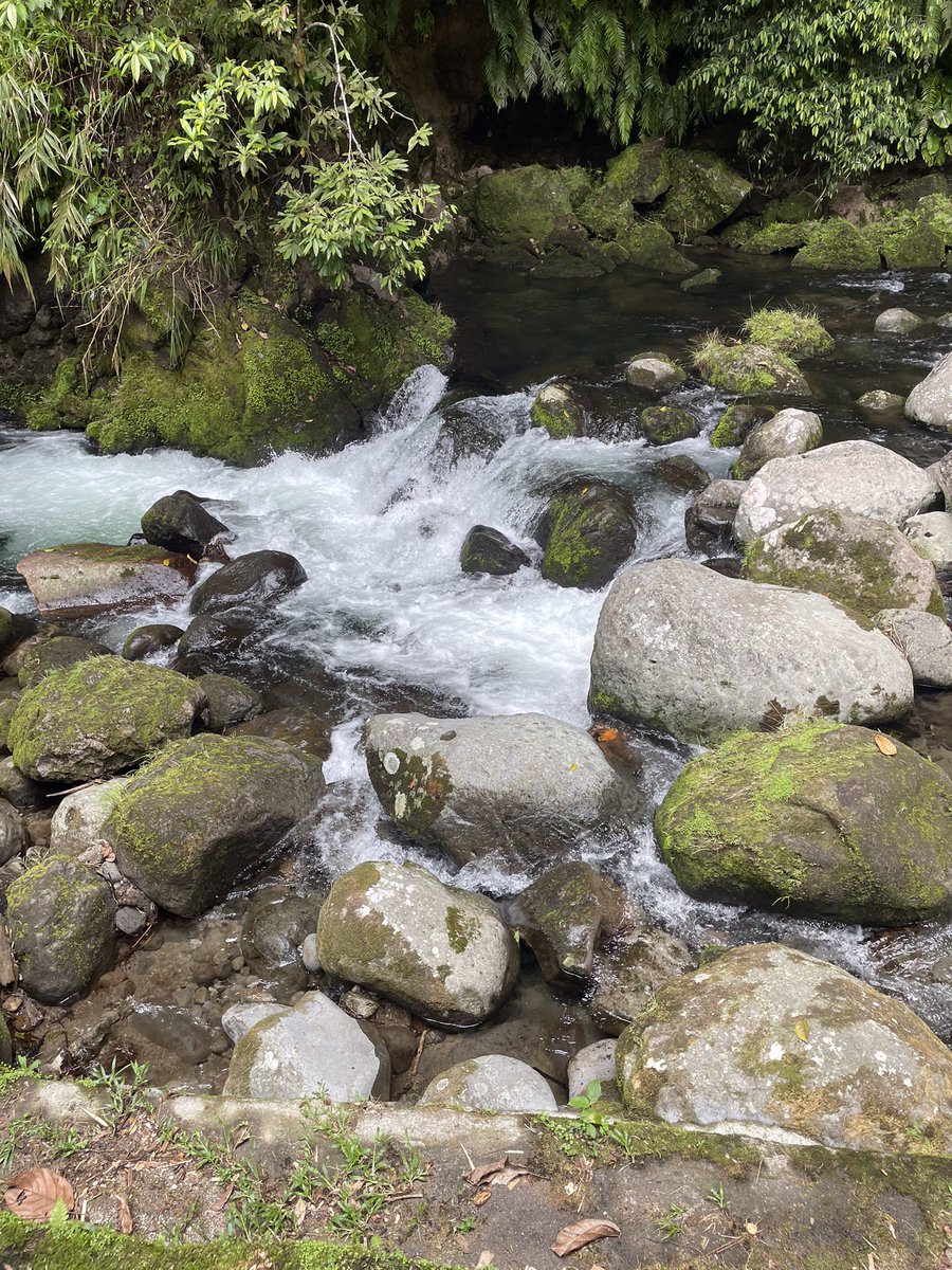 Real Prosperity is having access to the power of God to fulfil purpose, to provide for you and others whatever is needed. #loveGodnotmoney #trustGodnotmoney #pursueGodnotmoney 
#seedtimeandharvest