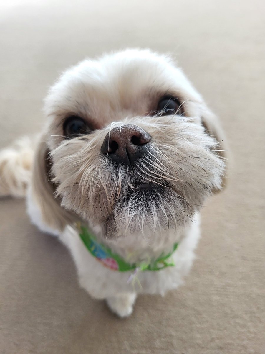 Kama Pechey tweet media